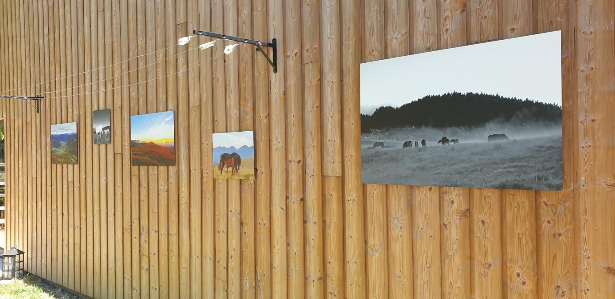 Le Chalet De Pyrene Et Hercule Arignac Cameră foto